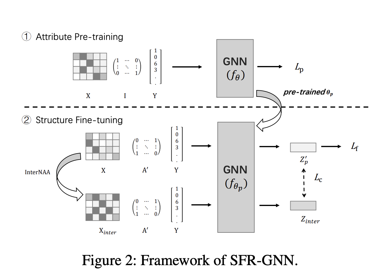 SFR-GNN: A Novel Graph Neural Networks (GNN) Model that Employs an 'Attribute Pre-Training and Structure Fine-Tuning' Strategy to Achieve Robustness Against Structural Attacks