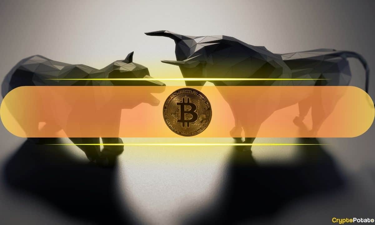 What On-Chain Data Means for BTC's Future